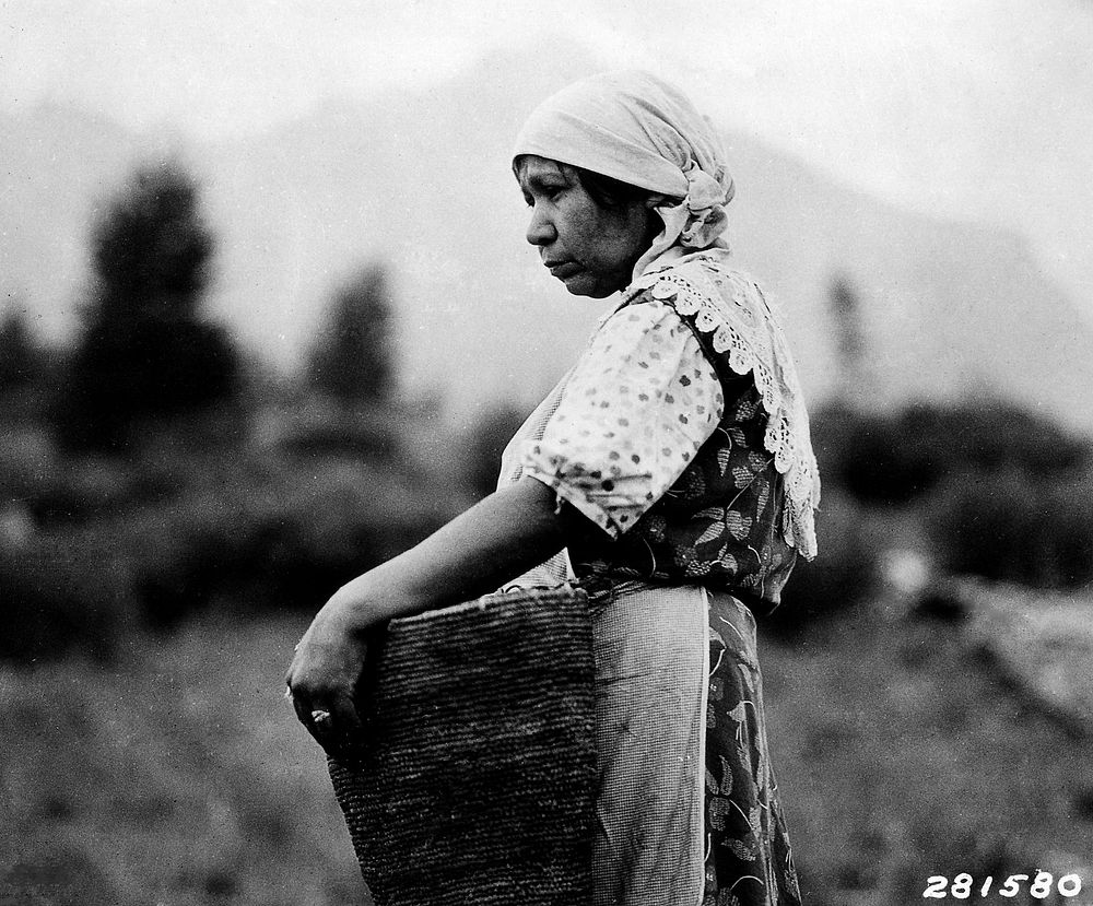 Local women was doing her farm. Original public domain image from Flickr