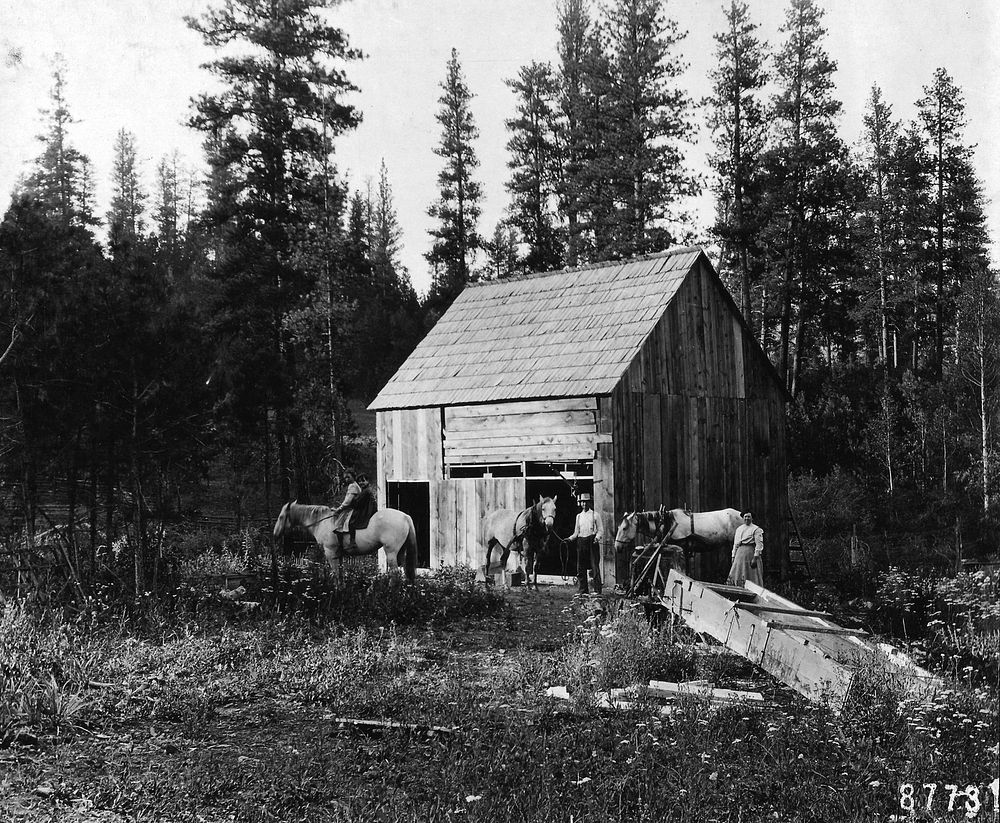 June 11th Claim of William Welch, Umatilla NF, OR 1909.JPG. Original public domain image from Flickr