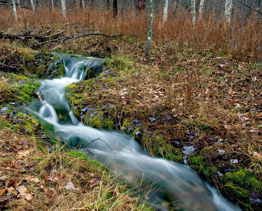 Title 6 CreekTitle 6 Creek is one of the intakes at the Jordan River National Fish Hatchery in Elmira, MI.Photo by Bobbie…