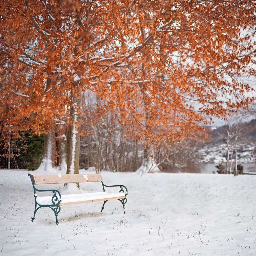 Between fall and winter there is a bench.