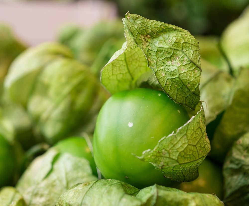 Organic tomatillo from Tuscarora Organic Growers (TOG) was delivered to Each Peach Market in the Washington, D.C., on…