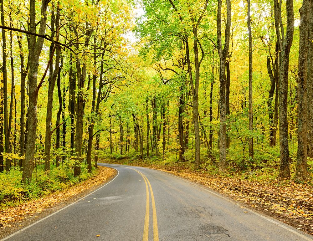 Beautiful Autumn aesthetic background, skyline drive. Free public domain CC0 photo.