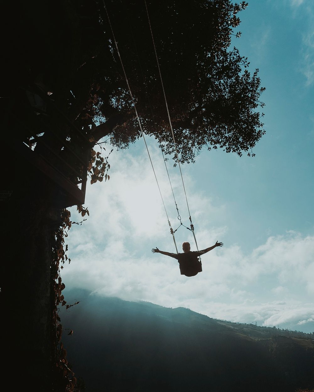 Nature swing and adventure travel. Free public domain CC0 photo.