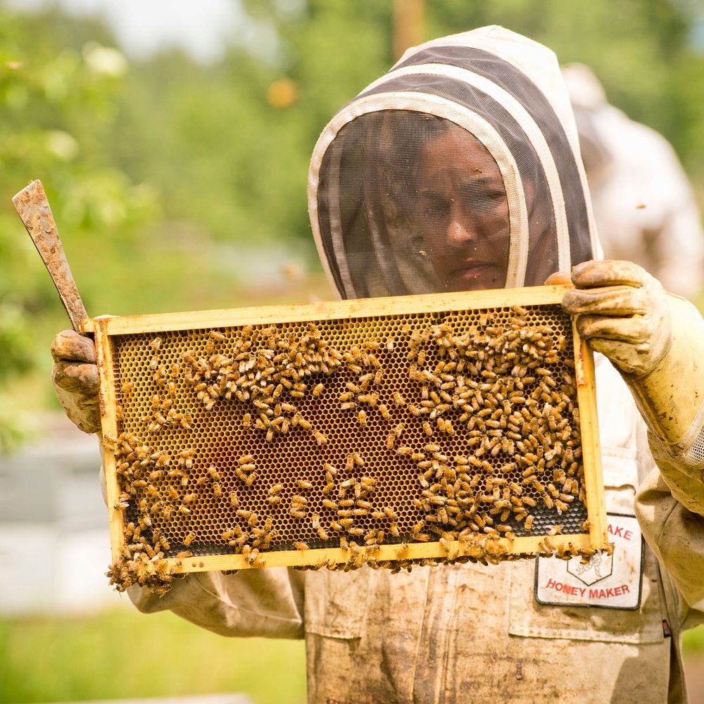 Kavita Bay, along with her husband Justin Bay, own Rivulet Apiaries and Hindu Hillbilly Farms near Rivulet, Mont. NRCS…