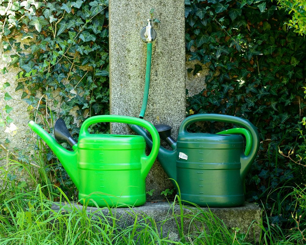 Green watering can in garden. Free public domain CC0 photo.