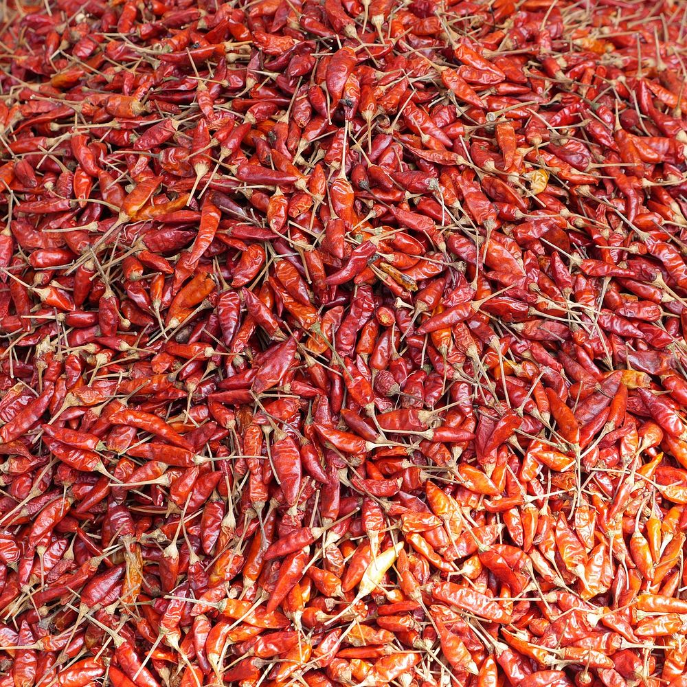 Dried red chili. Free public domain CC0 photo