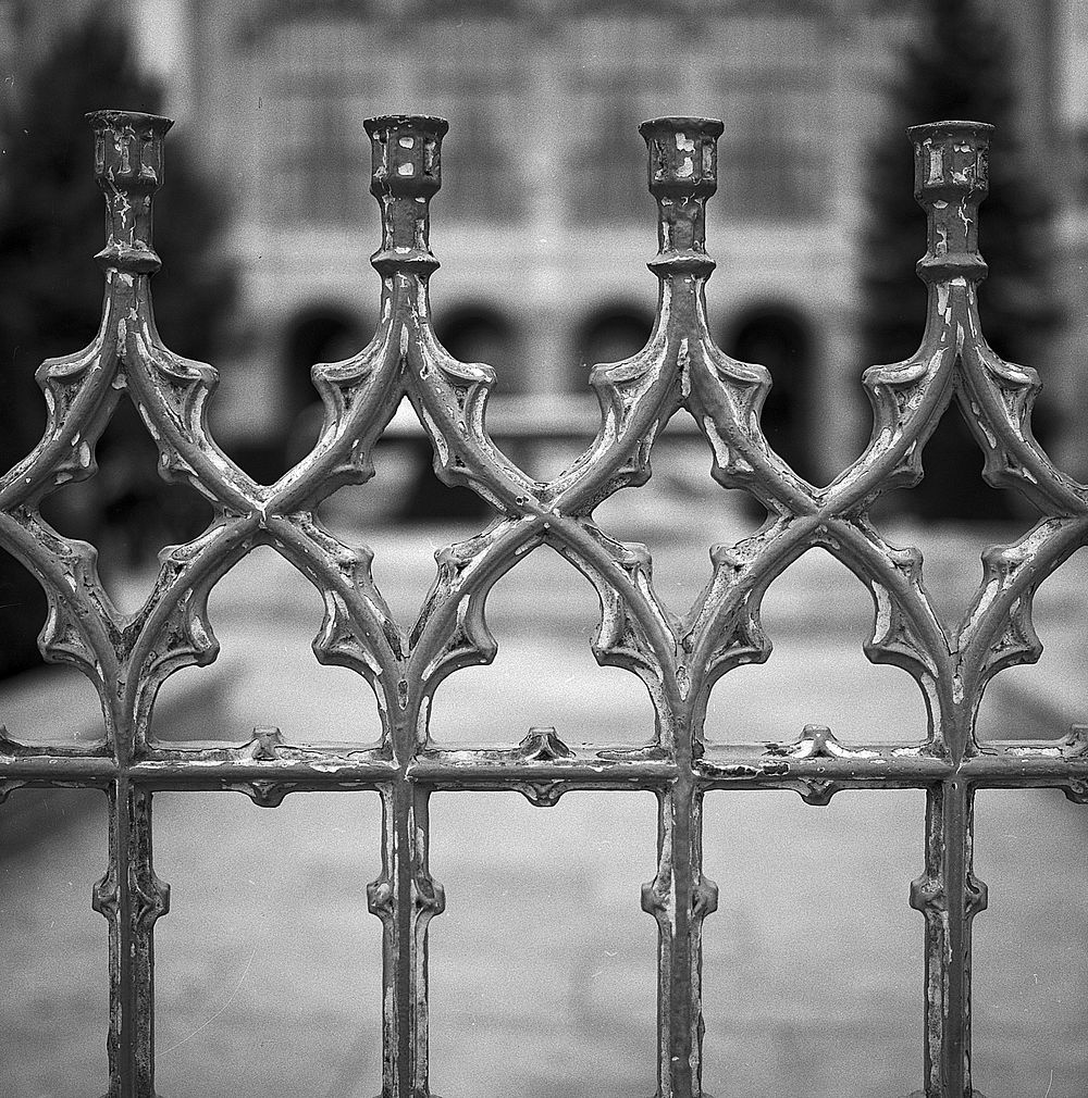 Fence. Free public domain CC0 photo.