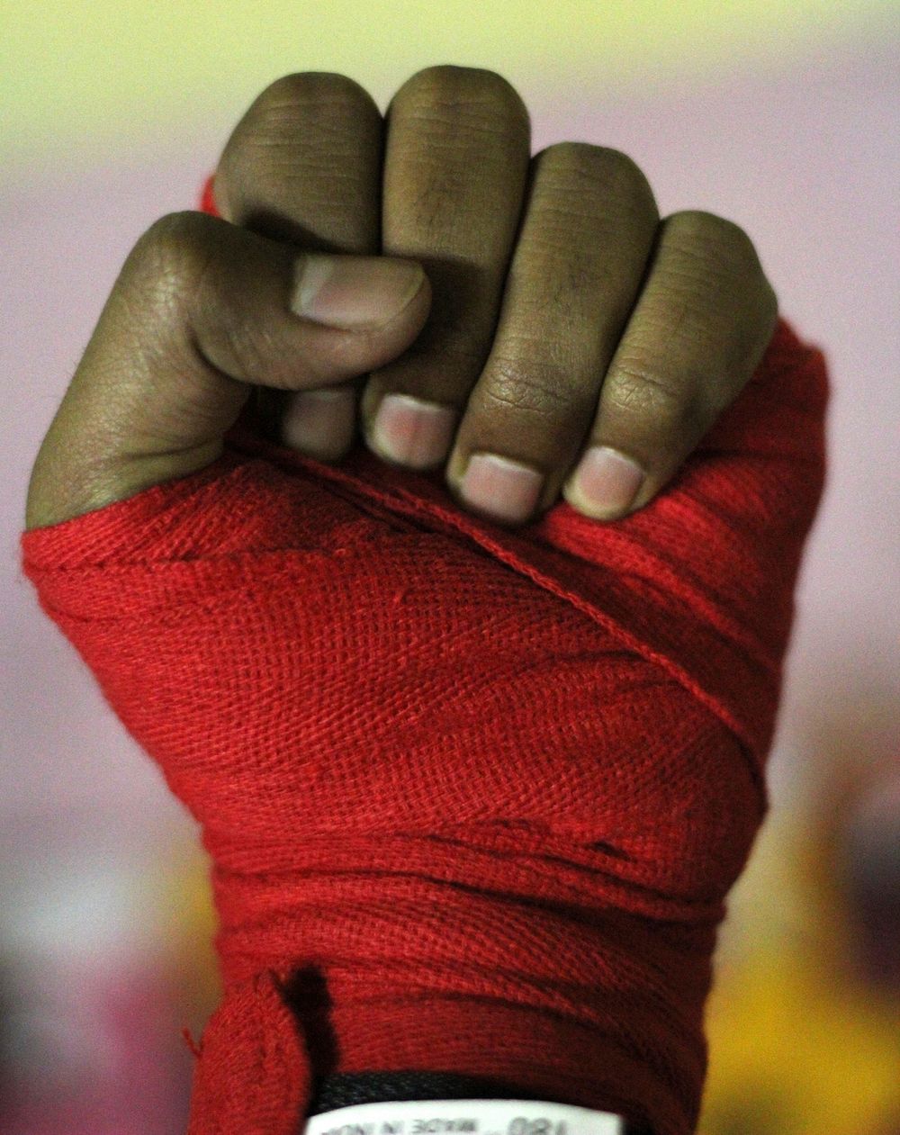 Boxer with bandage, close up. Free public domain CC0 photo.