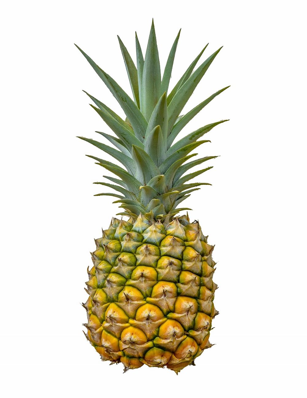 Pineapple fruit on white background. Free public domain CC0 image. 