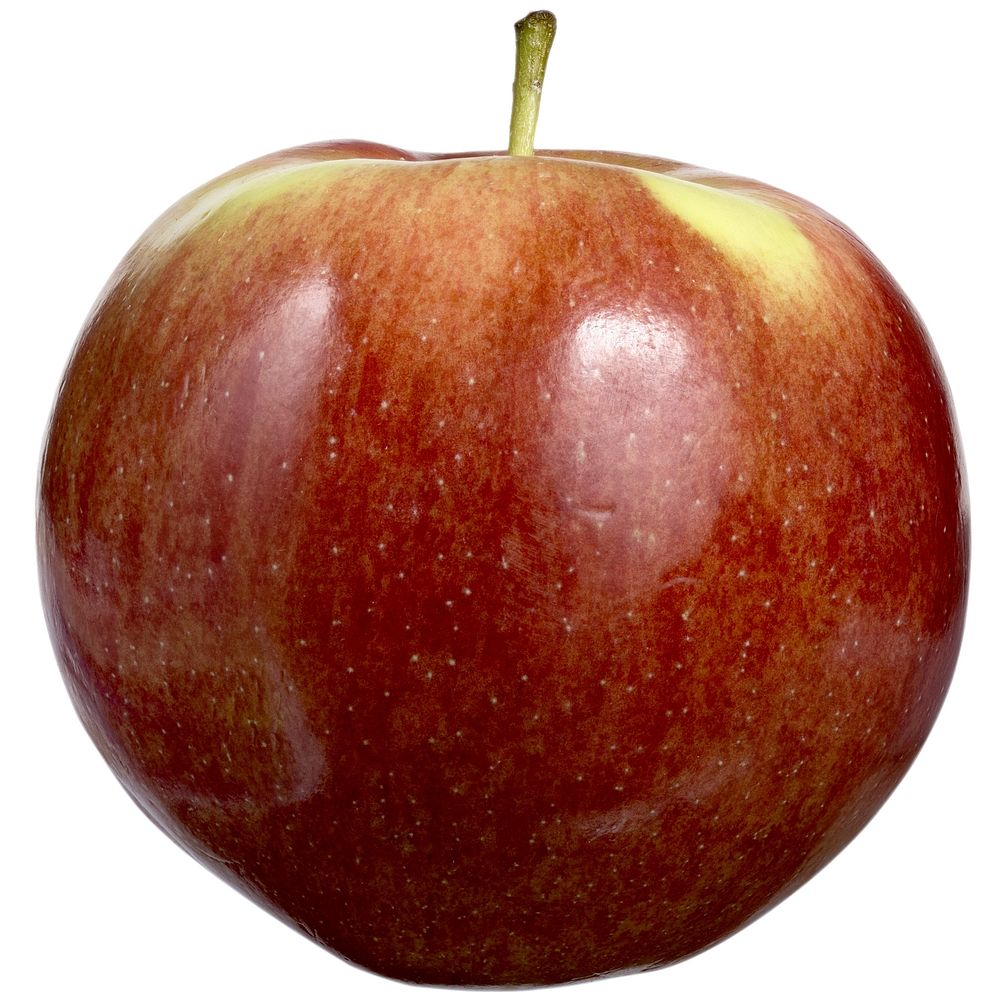 Closeup on red apple on white background. Free public domain CC0 photo.