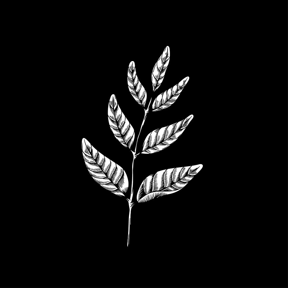 Leaves on branches drawing nature vector icon on black background