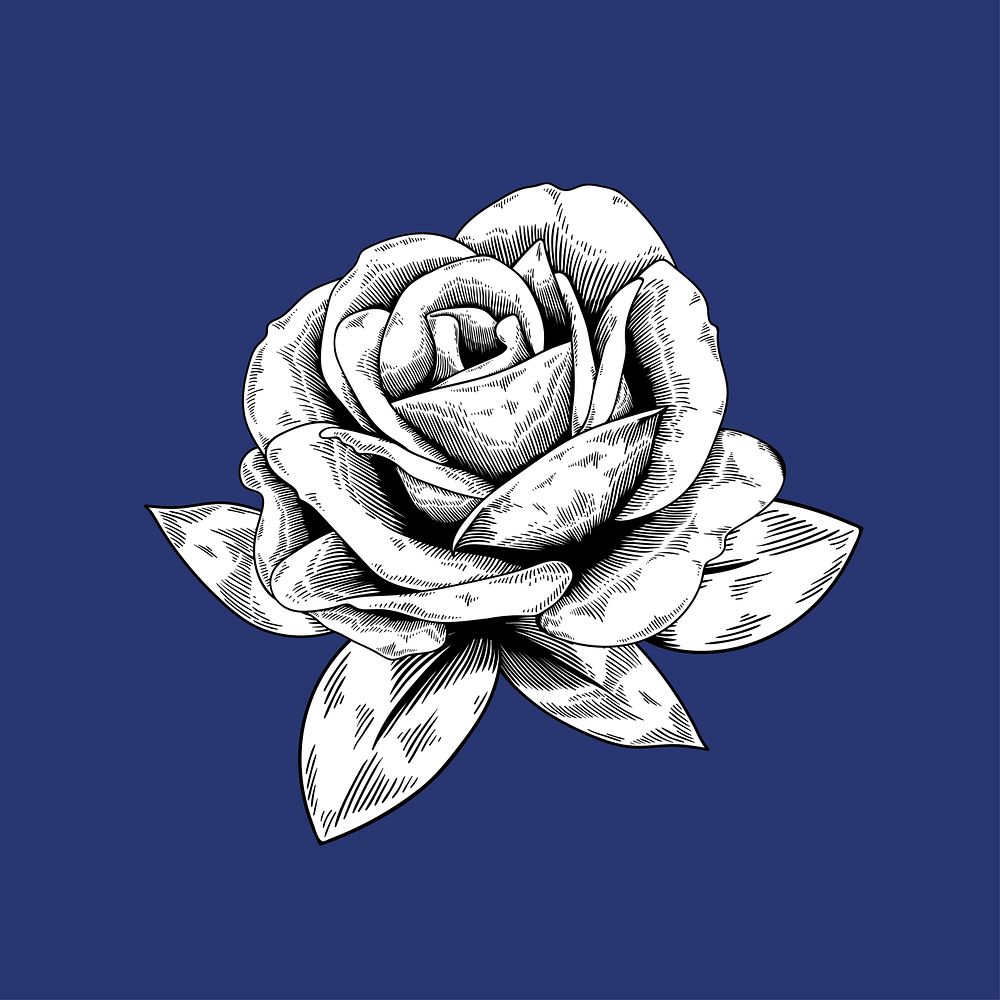 Rose drawing flower nature vector icon on blue background