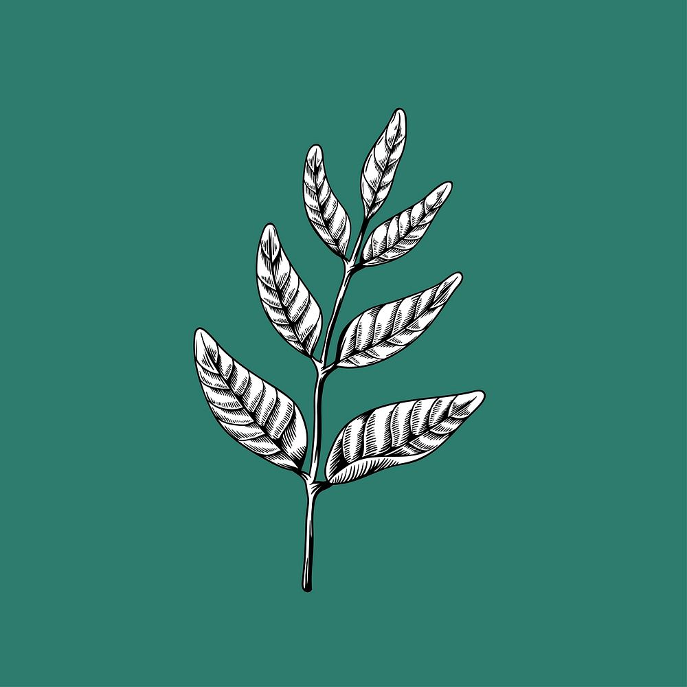 Leaves on branches drawing nature vector icon on green background