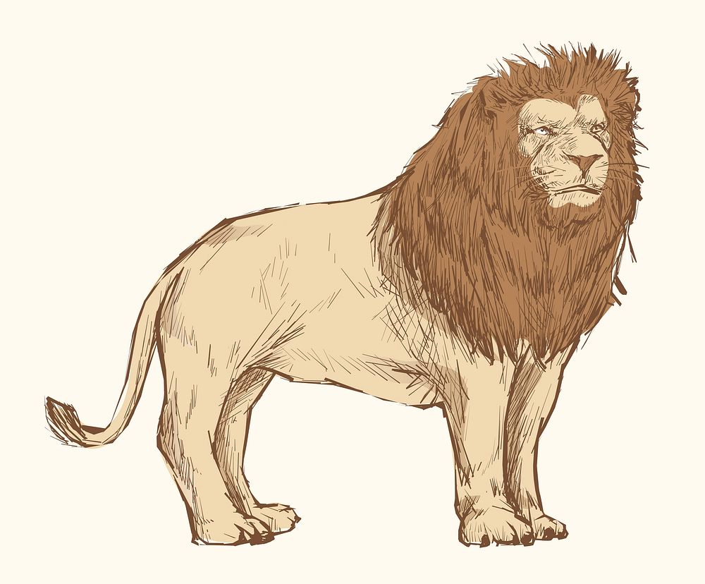 Illustration drawing style of lion