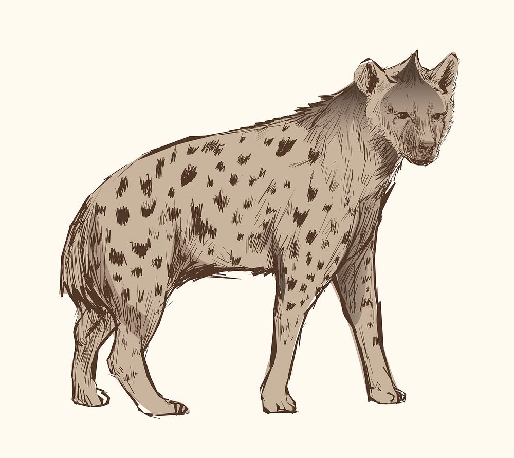 Illustration drawing style of hyena