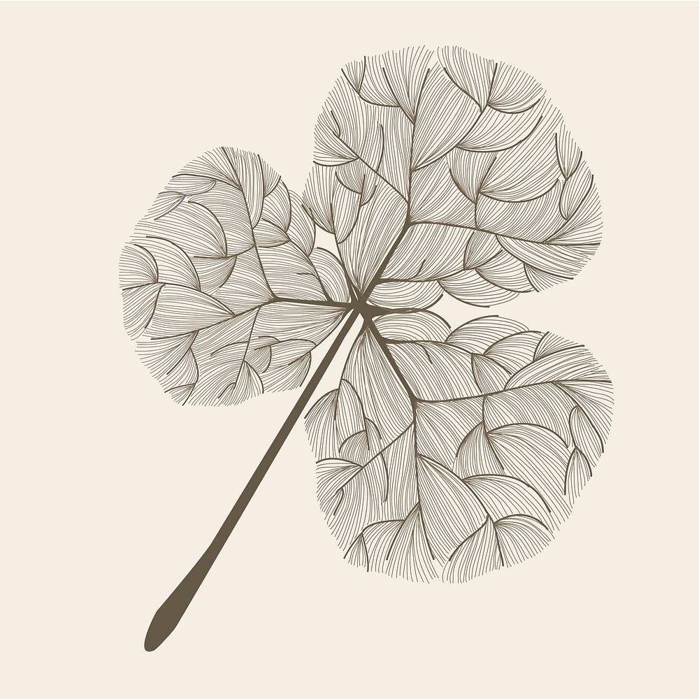 Illustration of tree leaf