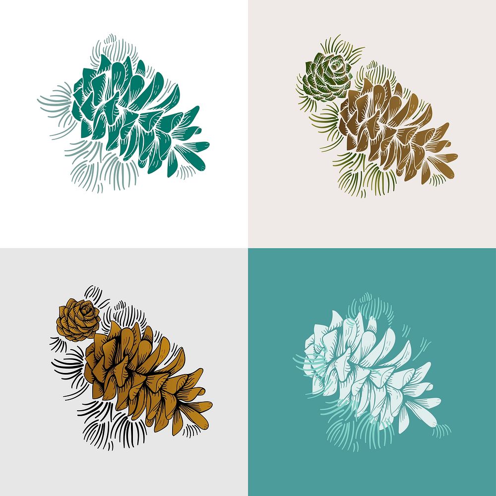 Illustration set of pine cones