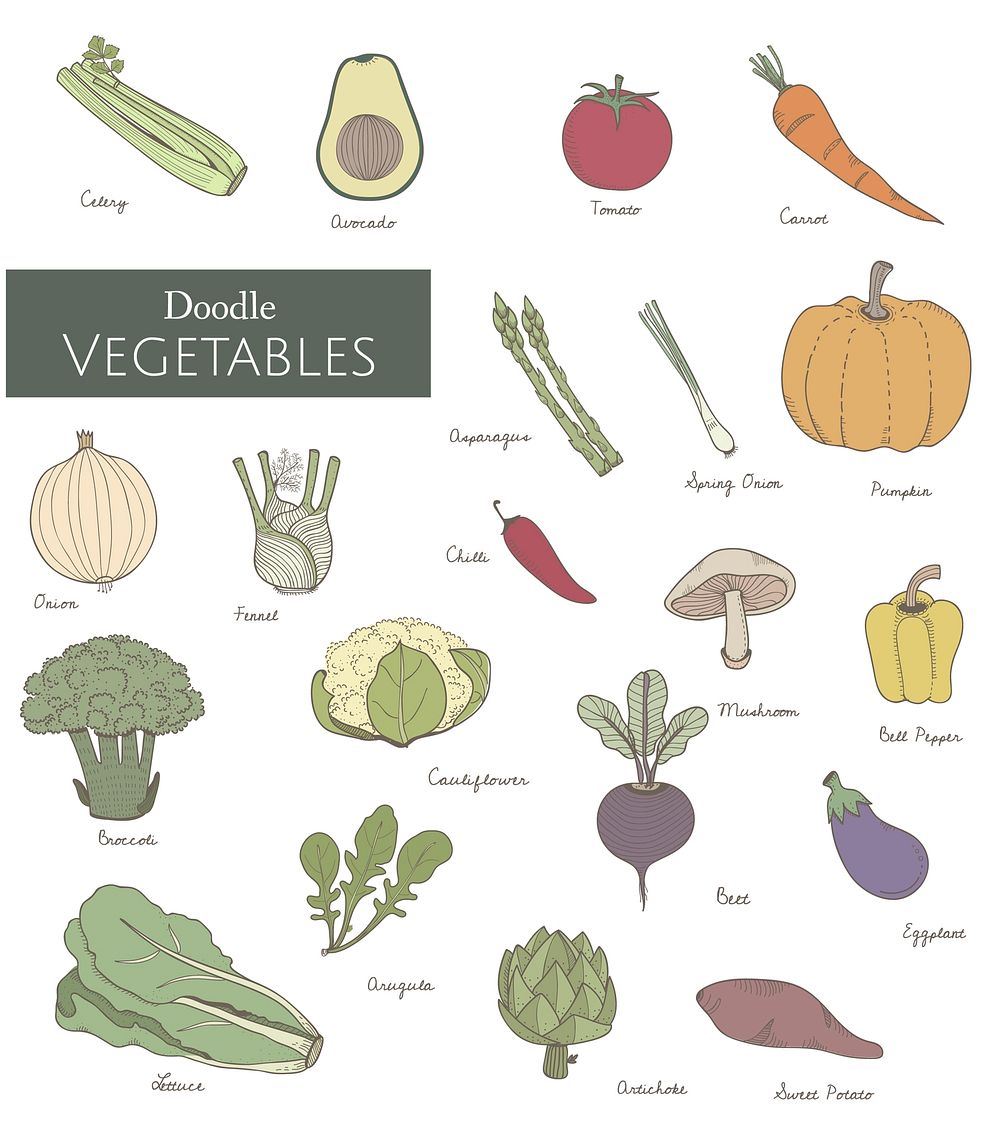 Vector of various vegetables