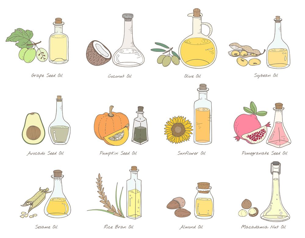 Vector of different types of oil