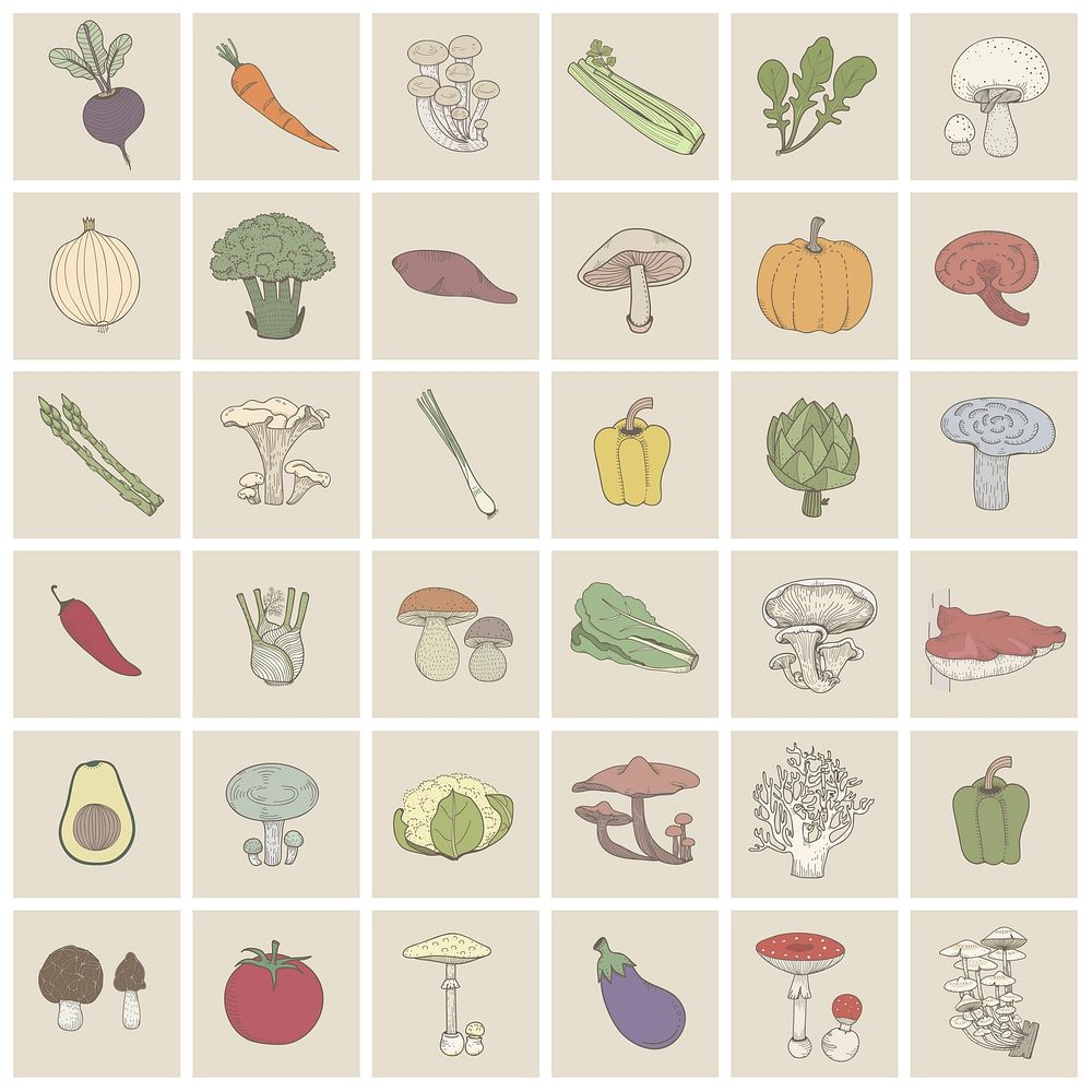 Set of colored vegetable illustrations