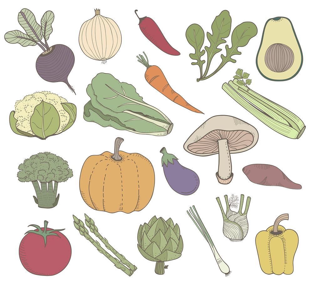 Vector of different kinds of vegetables