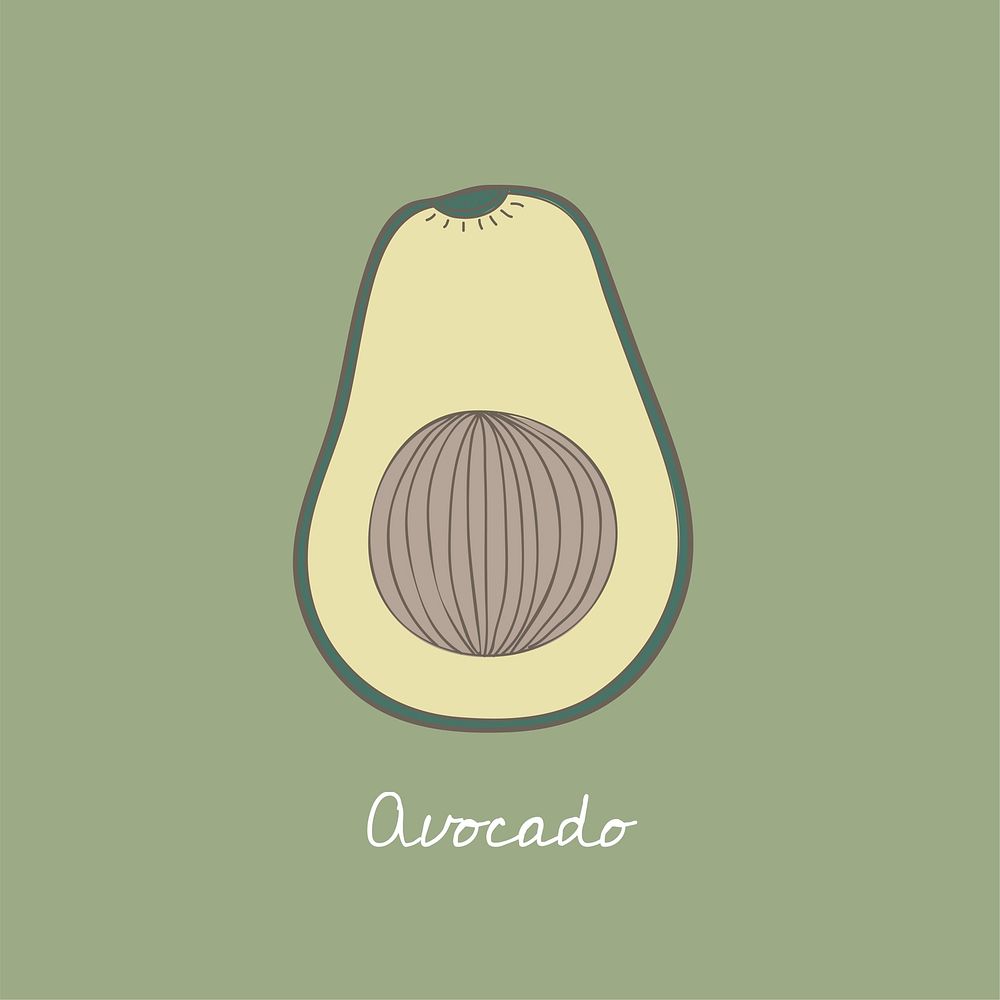 Vector of an avocado