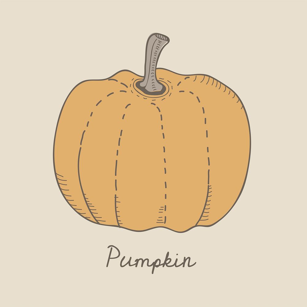 Vector of a pumpkin