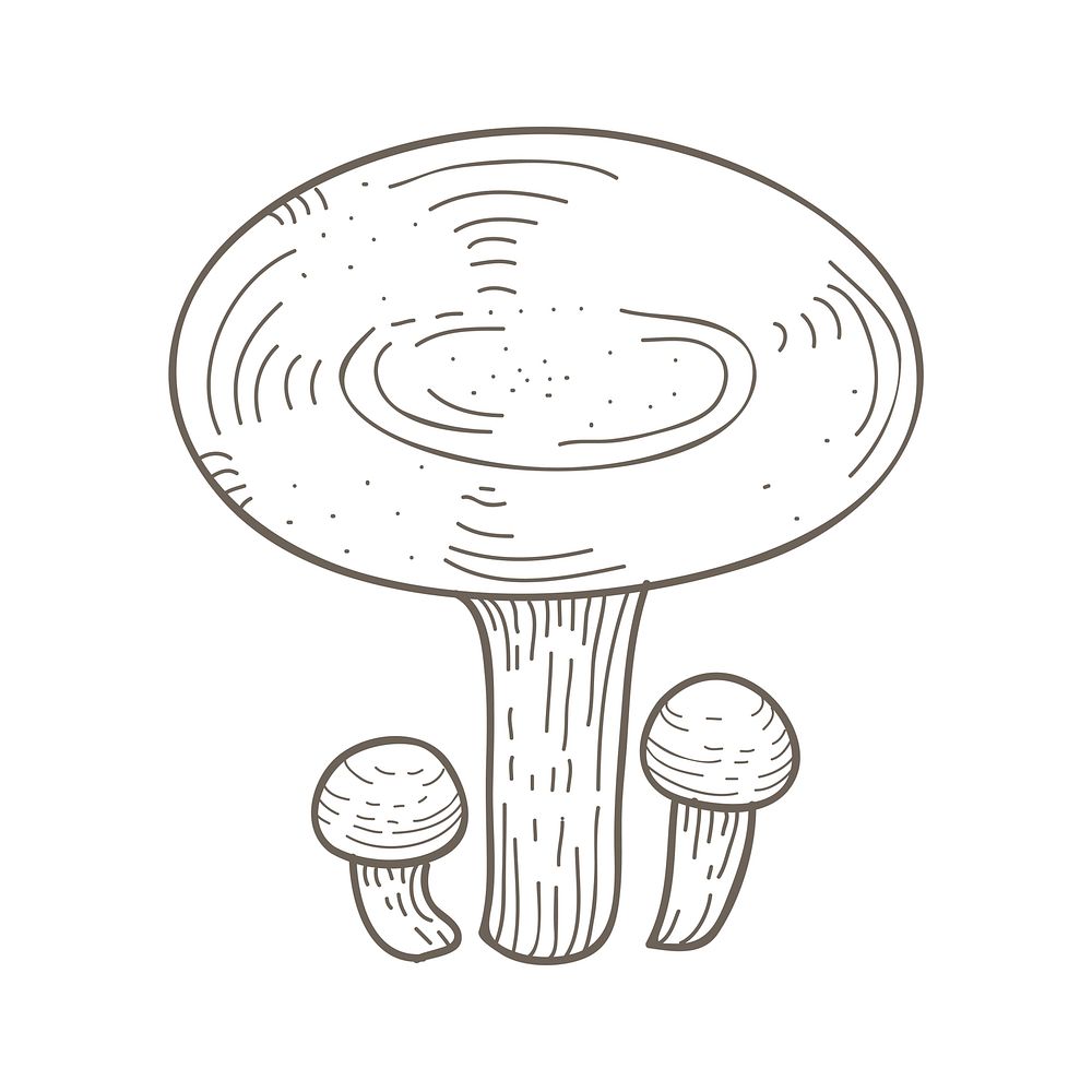 Vector of mushroom