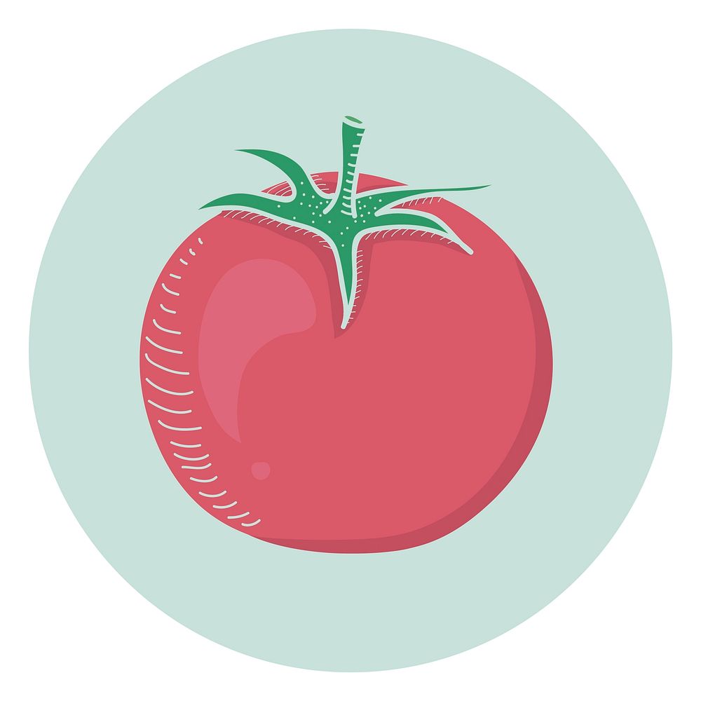 Vector of a tomato