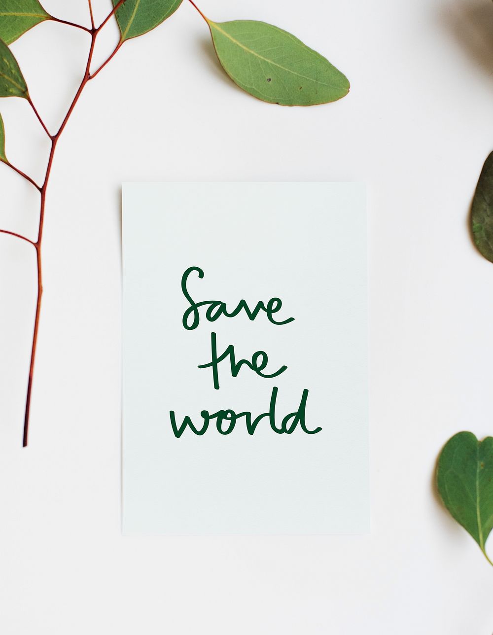 Phrase Save the World in a plant decoration