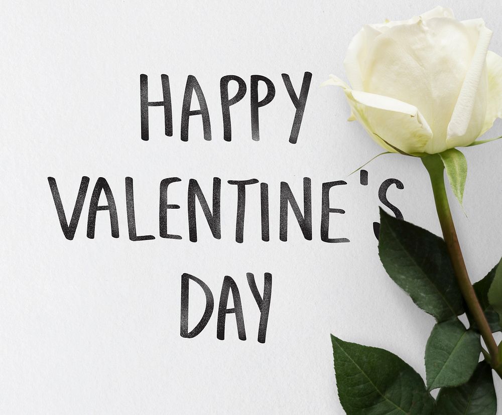 Happy Valentine's day themed white rose