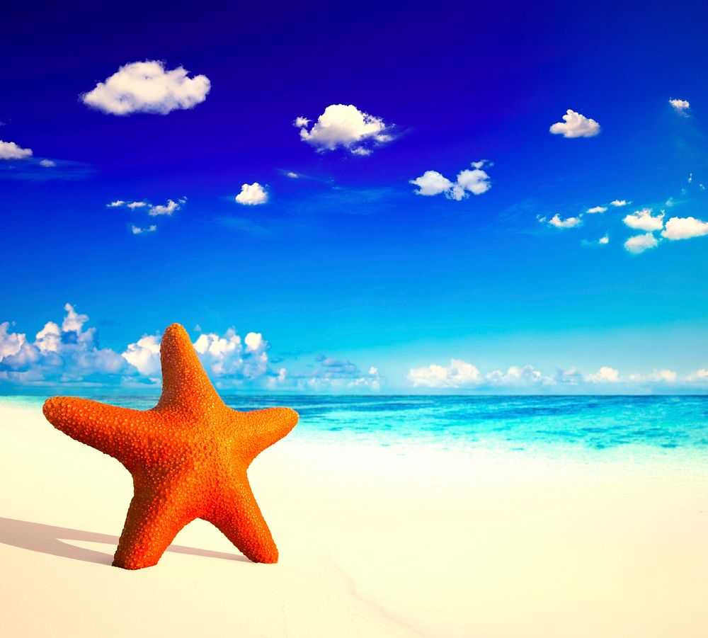 Red starfish on a tropical beach