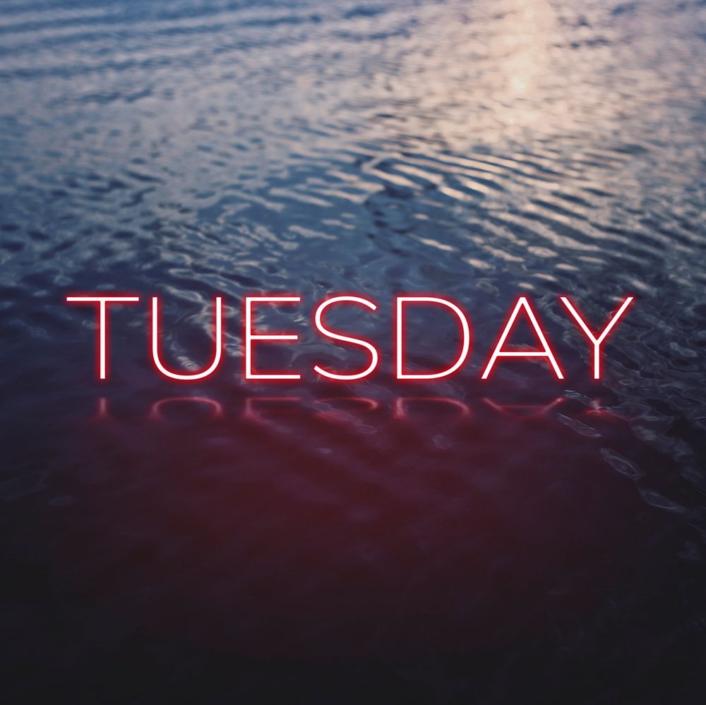  TUESDAY word pink neon typography