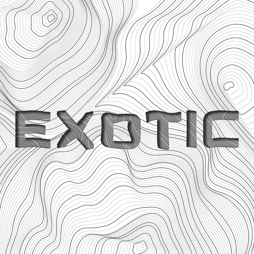 Dark gray exotic word typography on a white topographic background