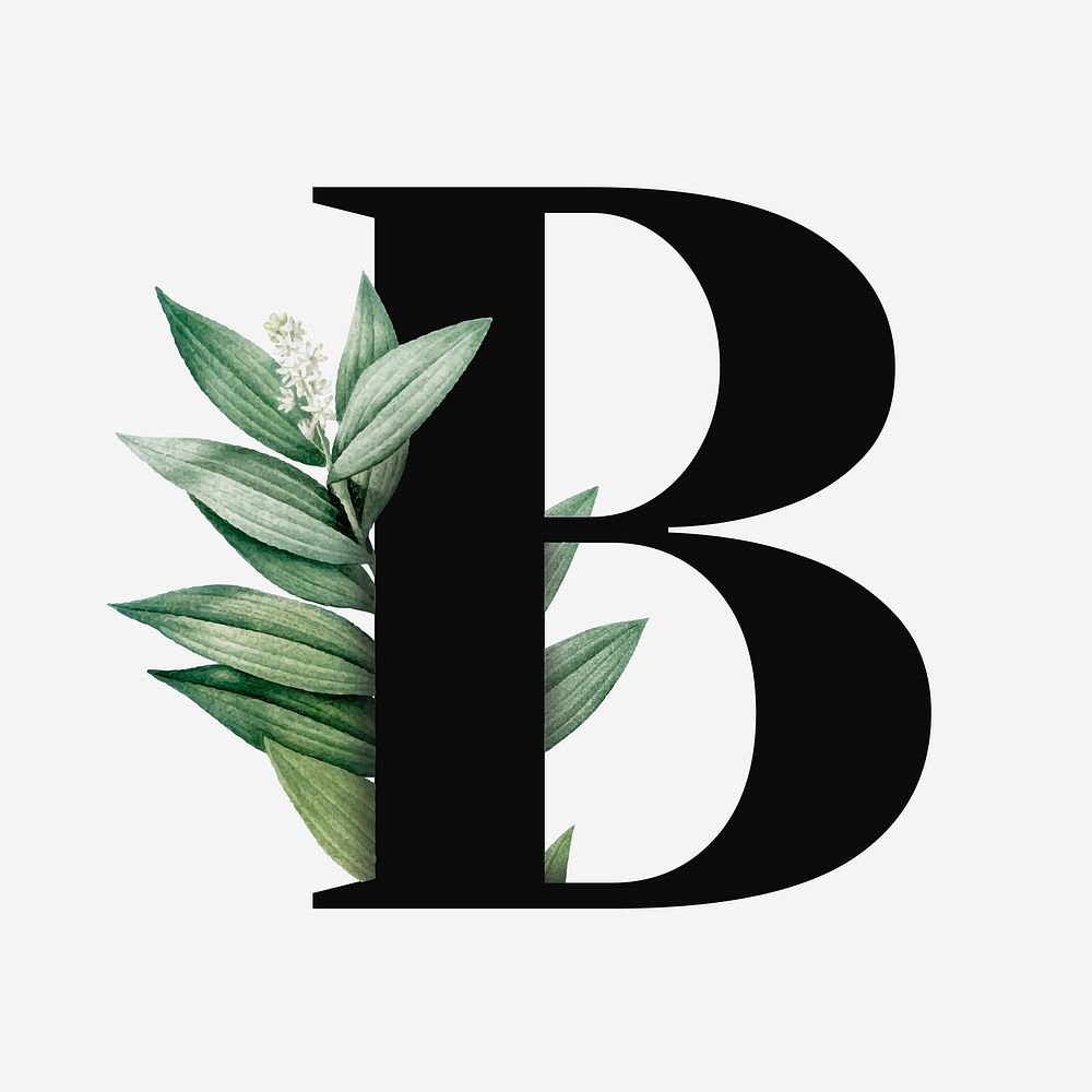 Botanical capital letter B font design