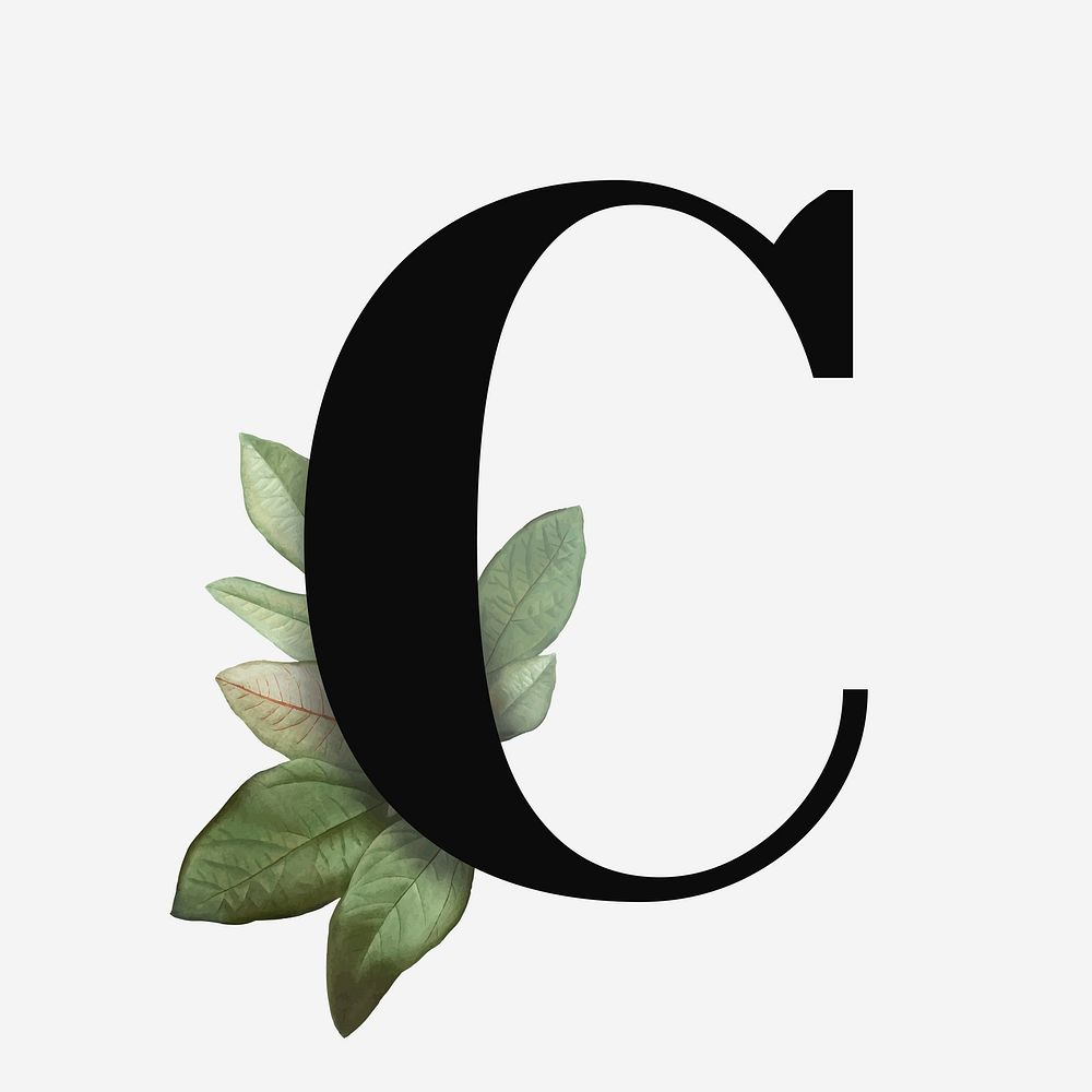 Botanical capital letter C font design