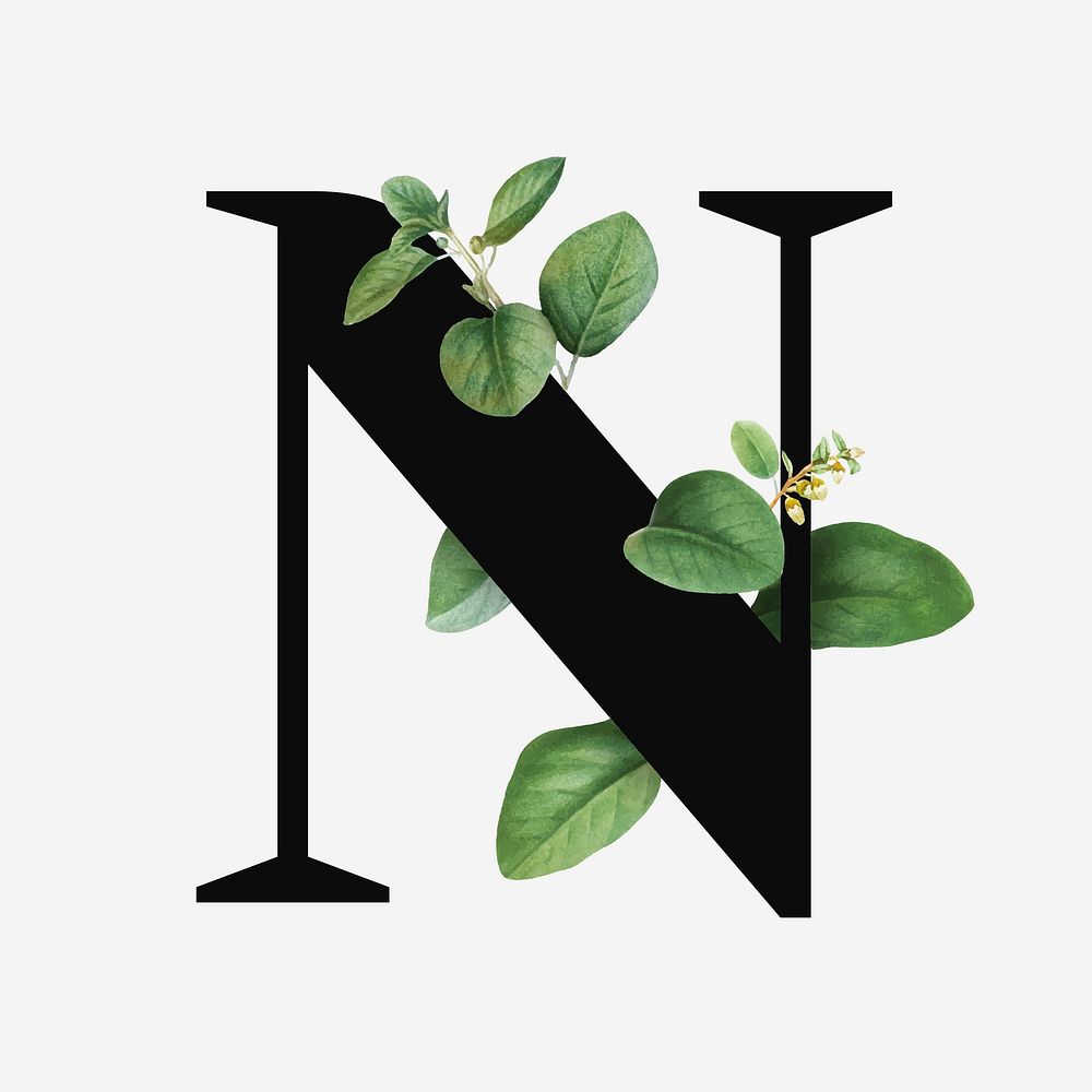 Botanical capital letter N font design