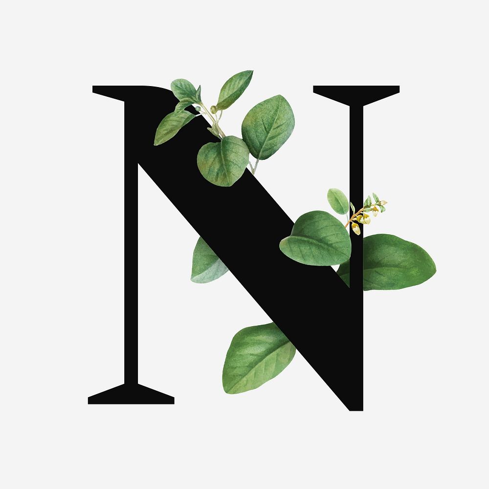 Botanical capital letter N vector