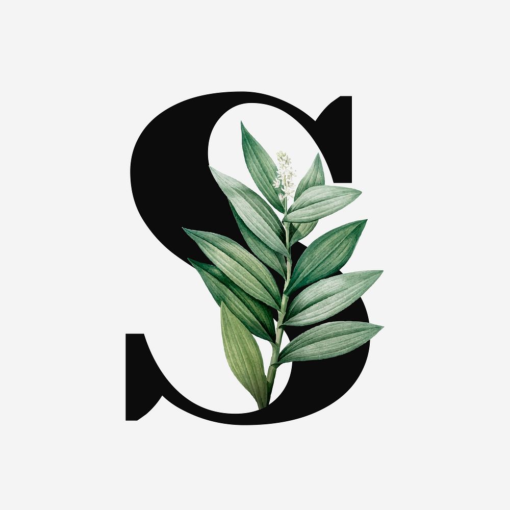 Botanical capital letter S font design
