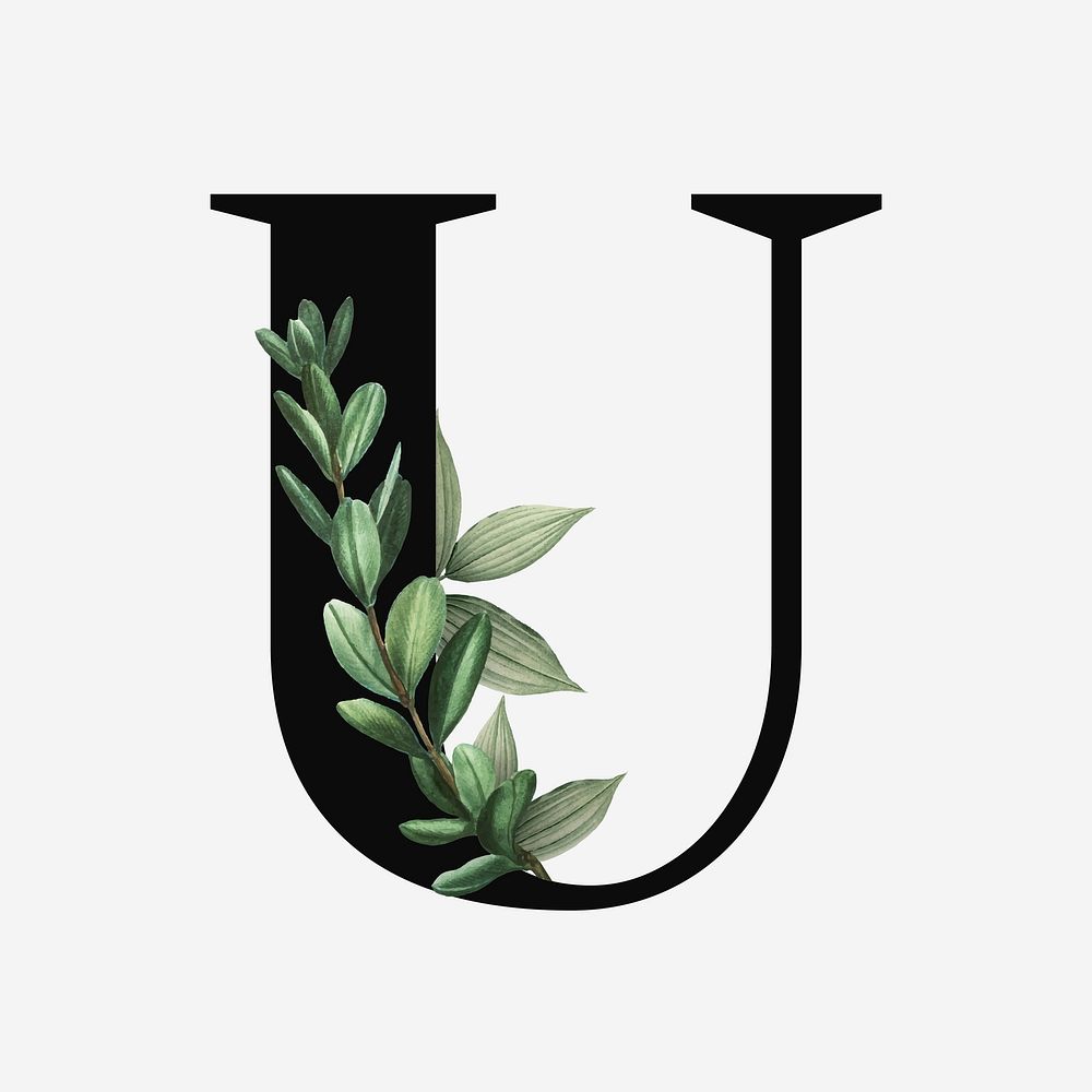Botanical capital letter U vector