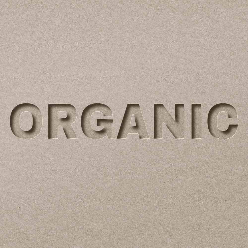 Organic 3d paper cut font typography