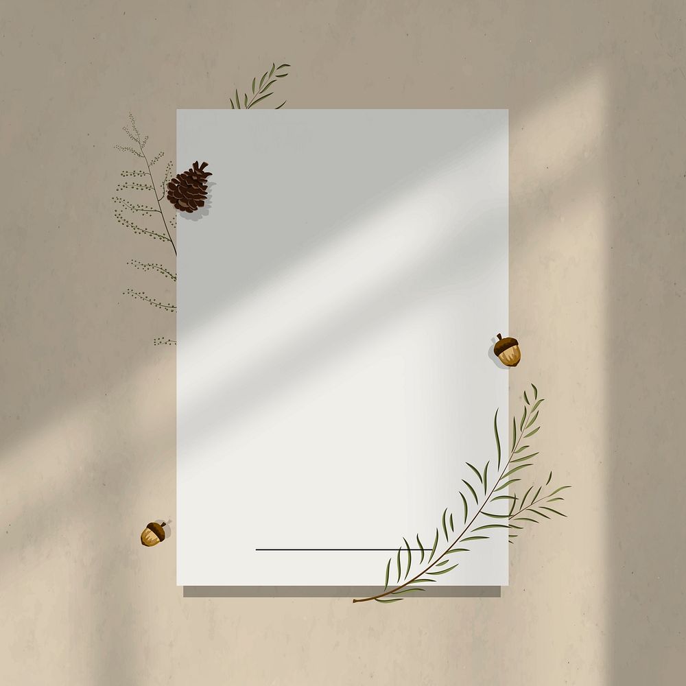 Cream wall shadow background frame blank paper with acorn decor