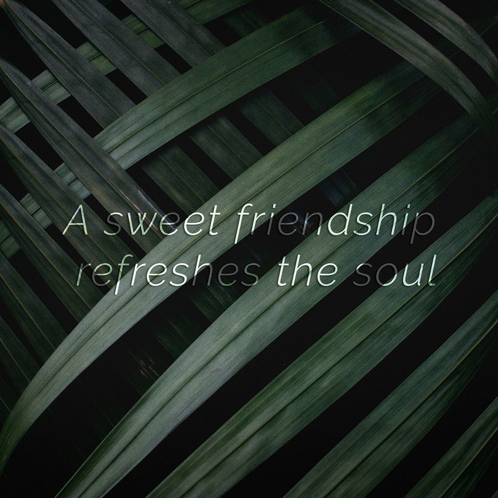 A sweet friendship refreshes the soul quote on a palm leaves background