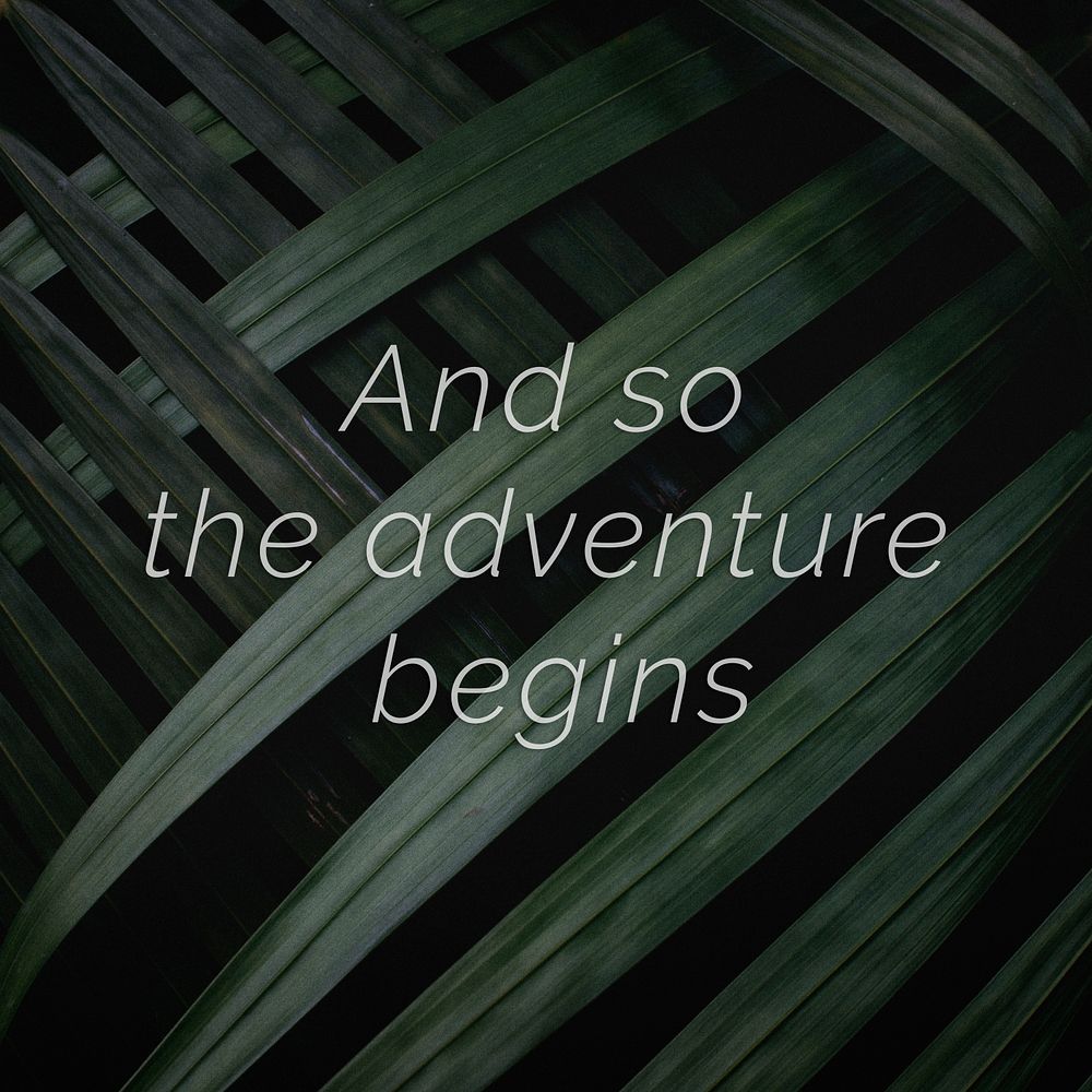 And so the adventure begins quote on a palm leaves background