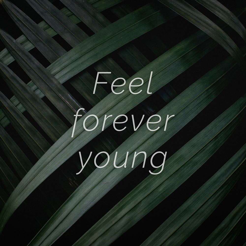 Feel forever young quote on a palm leaves background