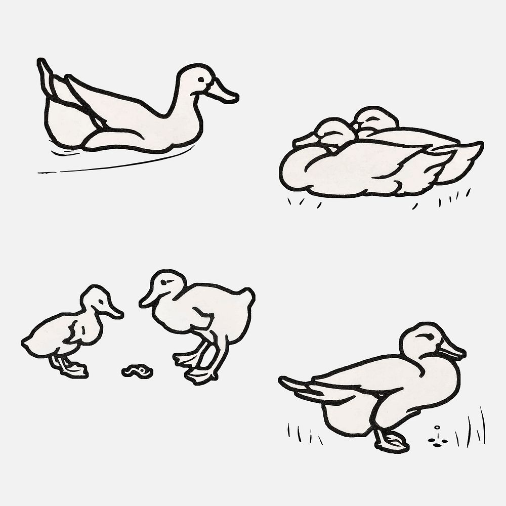 Vintage duck animal logo psd retro set