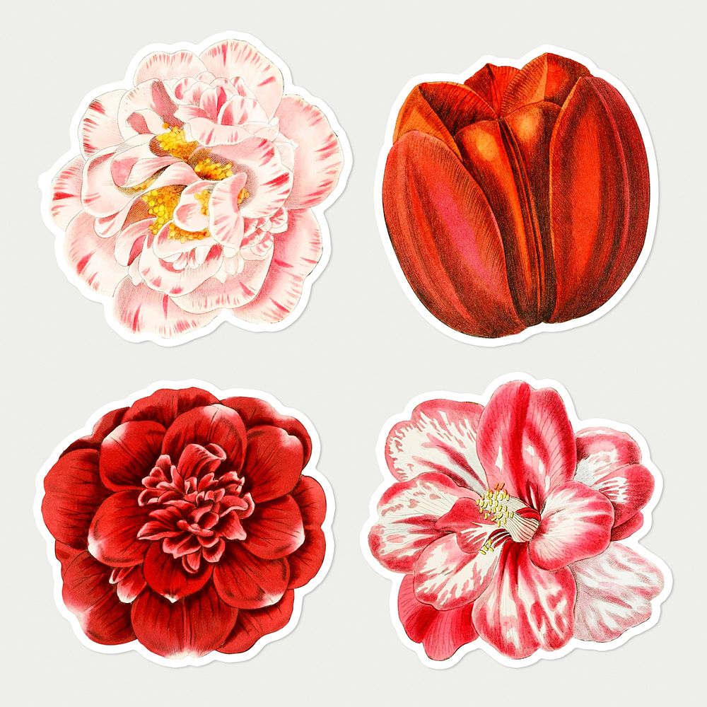 Flowers illustrated psd cut out sticker collection