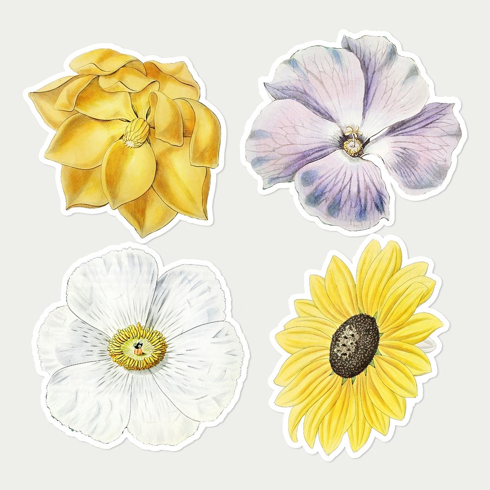 Summer vintage flowers psd cut out set