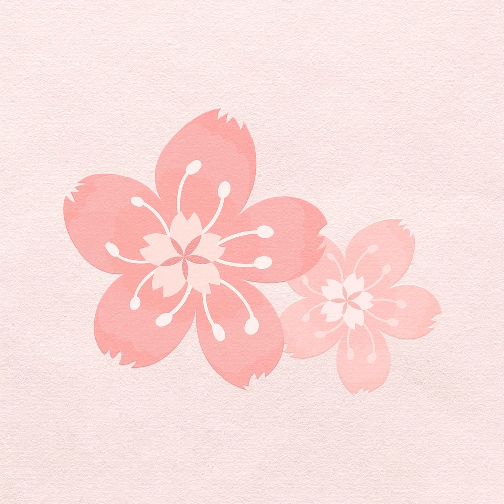 Pink sakura psd design element