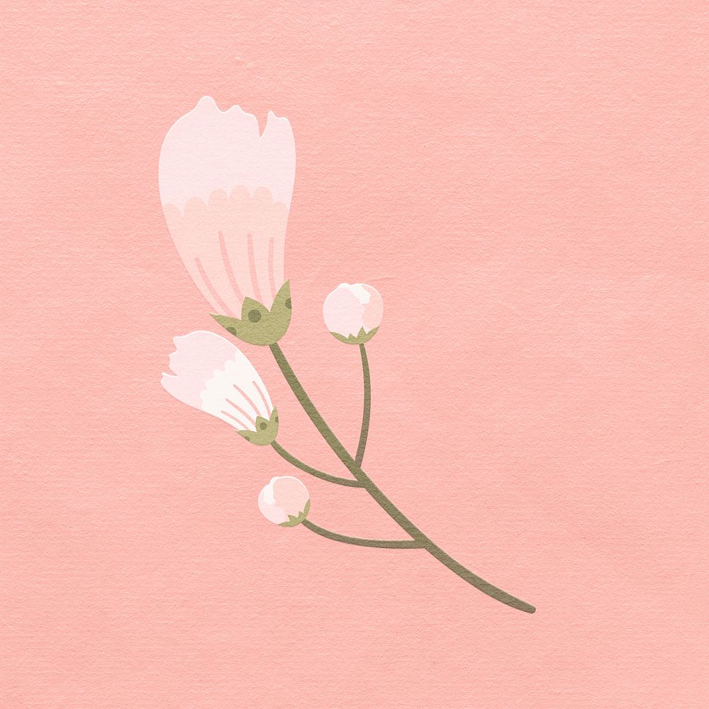 Pink cherry blossom flower psd design element